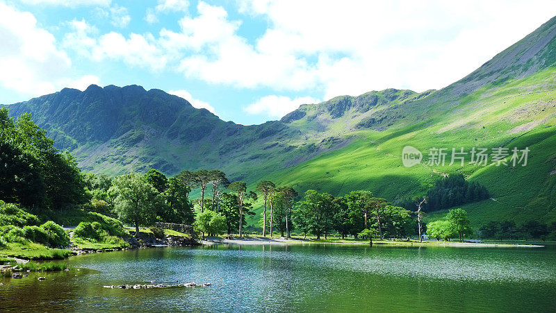 Buttermere Pines和Haystack